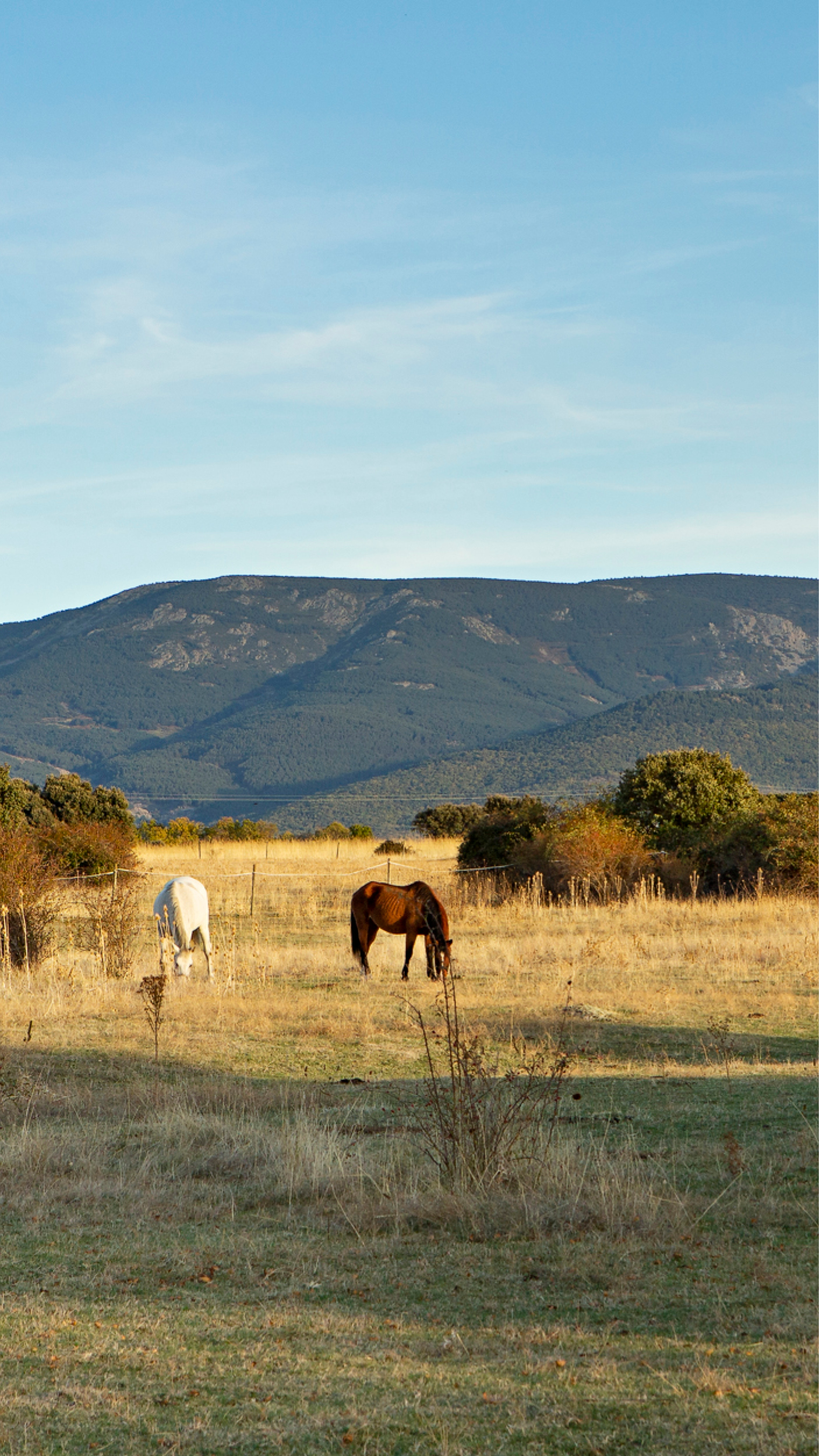Las Albercas de Tenzuela, Vista de la Sierra de Guadarrama 