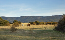 Albercas de Tenzuela, Vista de la Sierra de Guadarrama